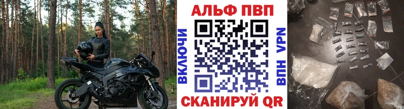 Alfa_PVP СК Баксан