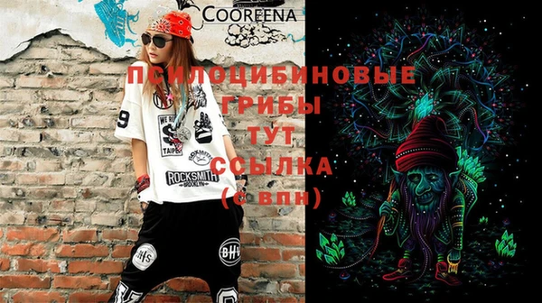 индика Баксан