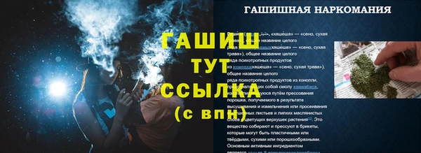индика Баксан