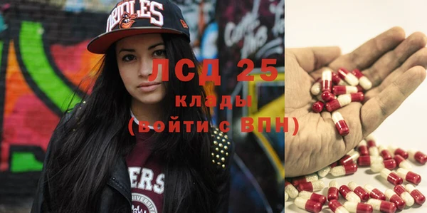 индика Баксан