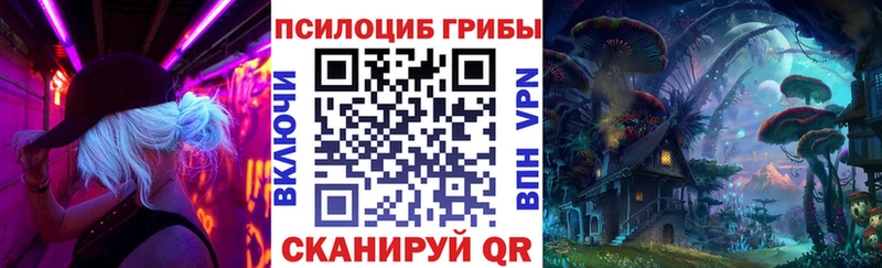 Галлюциногенные грибы Cubensis  купить закладку  Баксан 